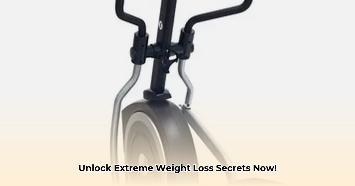 maximus-weight-loss